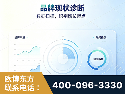 长垣-品牌现状诊断