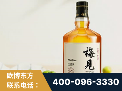 长垣-梅见青梅酒